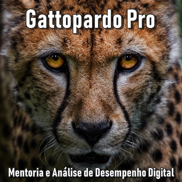 Gattopardo Pro - Mentoria e Anlise de Desempenho Digital